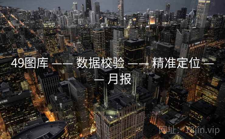 49图库 —— 数据校验 —— 精准定位 —— 月报