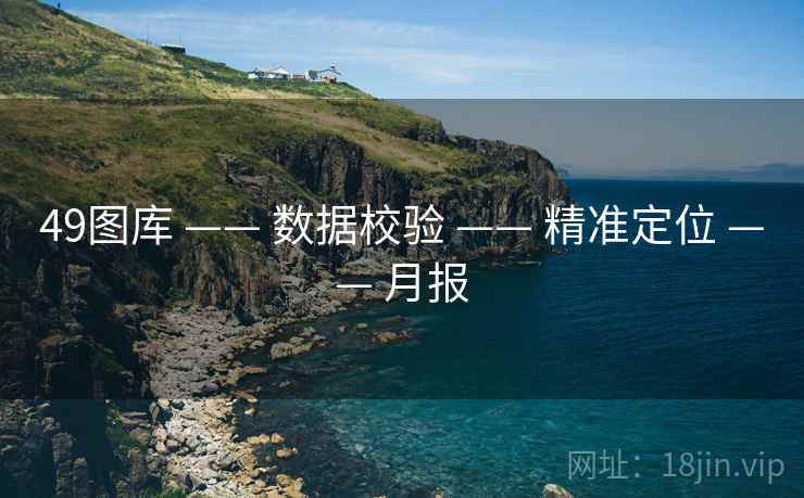49图库 —— 数据校验 —— 精准定位 —— 月报